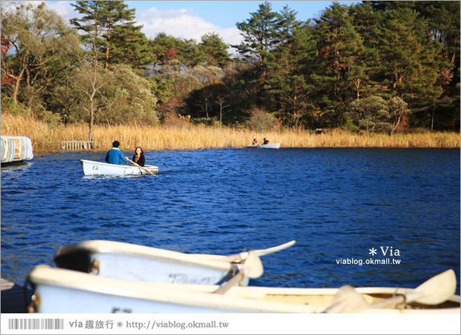 福島景點推薦》五色沼～福島的人氣景點！搭配紅葉的夢幻湖沼之旅