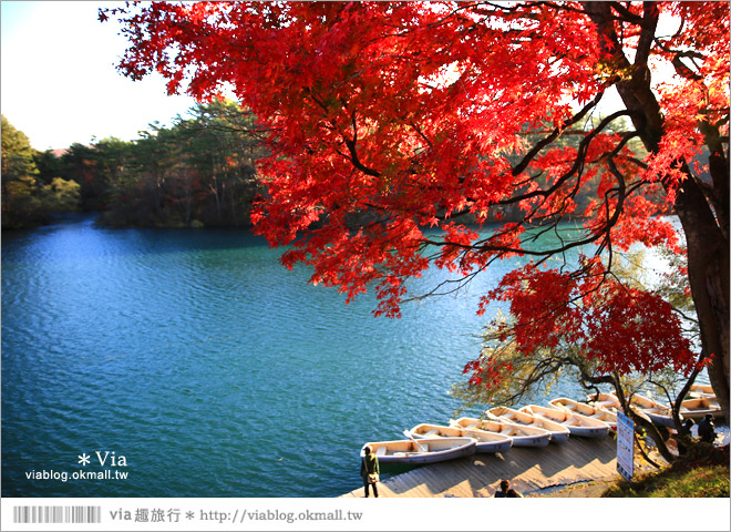 福島景點推薦》五色沼～福島的人氣景點！搭配紅葉的夢幻湖沼之旅