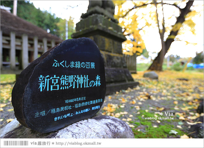 福島喜多方景點》新宮熊野神社～八百多年大銀杏樹！值得一賞的秋季銀杏美景！