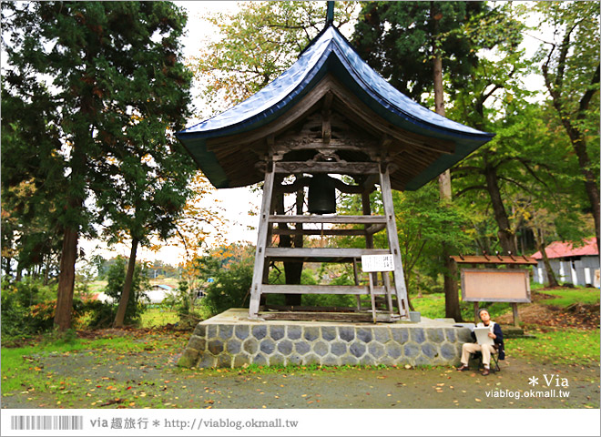 福島喜多方景點》新宮熊野神社～八百多年大銀杏樹！值得一賞的秋季銀杏美景！