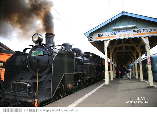 靜岡旅遊》大井川鐵道(上)～新金谷車站／搭乘SL蒸汽火車、來趟懷舊的鐵道旅行！