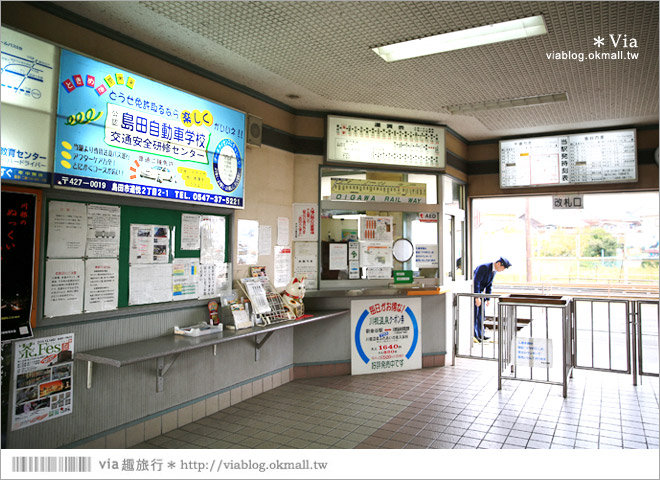 靜岡旅遊》大井川鐵道(上)～新金谷車站／搭乘SL蒸汽火車、來趟懷舊的鐵道旅行！