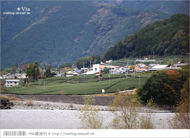 靜岡旅遊》大井川鐵道(上)～新金谷車站／搭乘SL蒸汽火車、來趟懷舊的鐵道旅行！