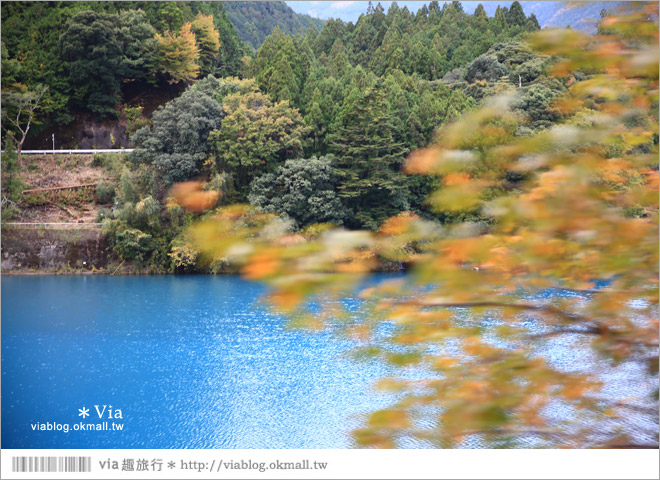 靜岡旅遊》大井川鐵道(上)～新金谷車站／搭乘SL蒸汽火車、來趟懷舊的鐵道旅行！