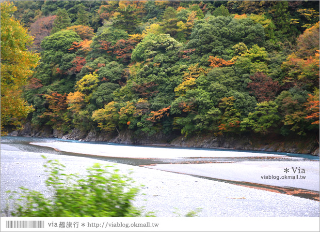 靜岡旅遊》大井川鐵道(下)～日本唯一齒軌登山軌道＋山中湖上秘境車站「奧大井湖上站」