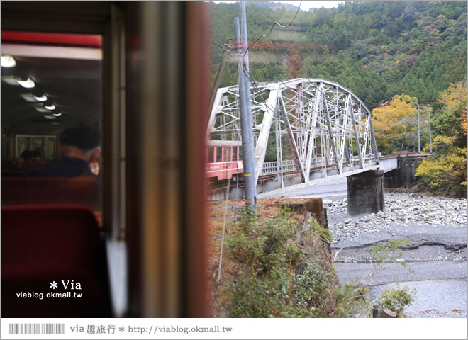 靜岡旅遊》大井川鐵道(下)～日本唯一齒軌登山軌道＋山中湖上秘境車站「奧大井湖上站」