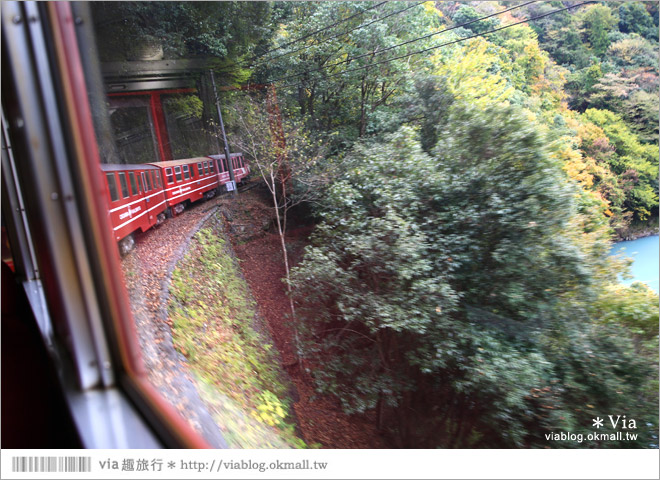 靜岡旅遊》大井川鐵道(下)～日本唯一齒軌登山軌道＋山中湖上秘境車站「奧大井湖上站」