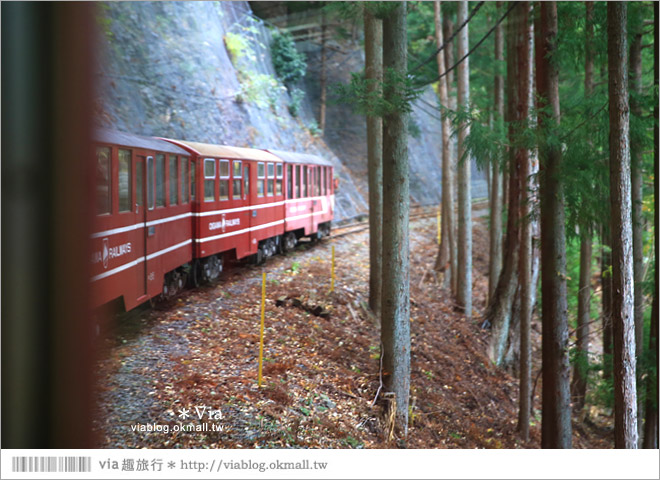 靜岡旅遊》大井川鐵道(下)～日本唯一齒軌登山軌道＋山中湖上秘境車站「奧大井湖上站」