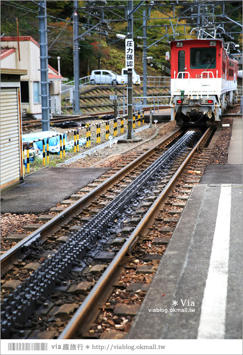 靜岡旅遊》大井川鐵道(下)～日本唯一齒軌登山軌道＋山中湖上秘境車站「奧大井湖上站」