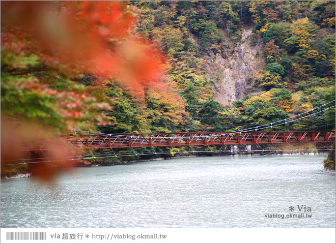 靜岡旅遊》大井川鐵道(下)～日本唯一齒軌登山軌道＋山中湖上秘境車站「奧大井湖上站」