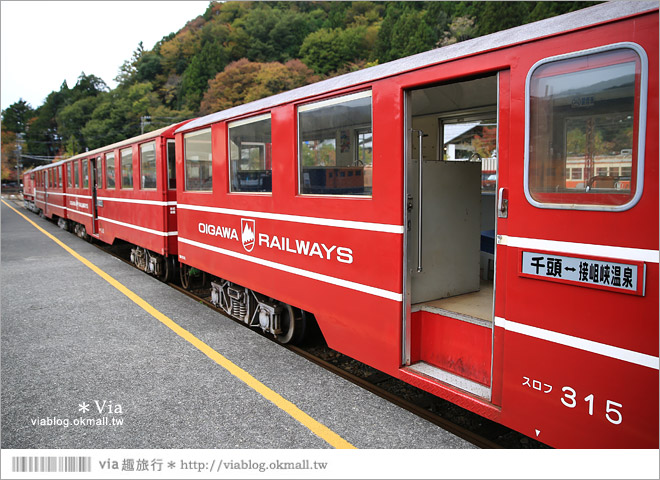 靜岡旅遊》大井川鐵道(下)～日本唯一齒軌登山軌道＋山中湖上秘境車站「奧大井湖上站」