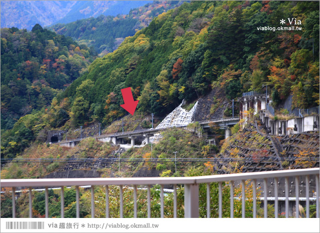 靜岡旅遊》大井川鐵道(下)～日本唯一齒軌登山軌道＋山中湖上秘境車站「奧大井湖上站」