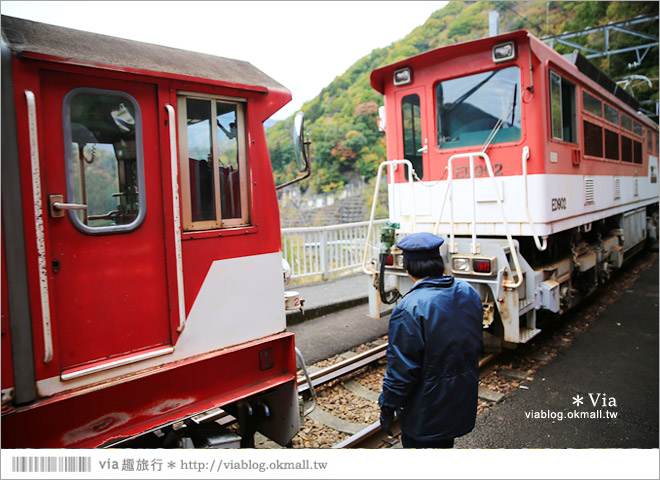 靜岡旅遊》大井川鐵道(下)～日本唯一齒軌登山軌道＋山中湖上秘境車站「奧大井湖上站」