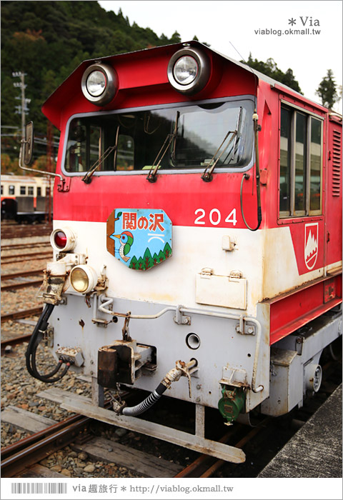 靜岡旅遊》大井川鐵道(下)～日本唯一齒軌登山軌道＋山中湖上秘境車站「奧大井湖上站」