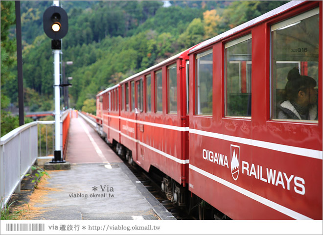 靜岡旅遊》大井川鐵道(下)～日本唯一齒軌登山軌道＋山中湖上秘境車站「奧大井湖上站」