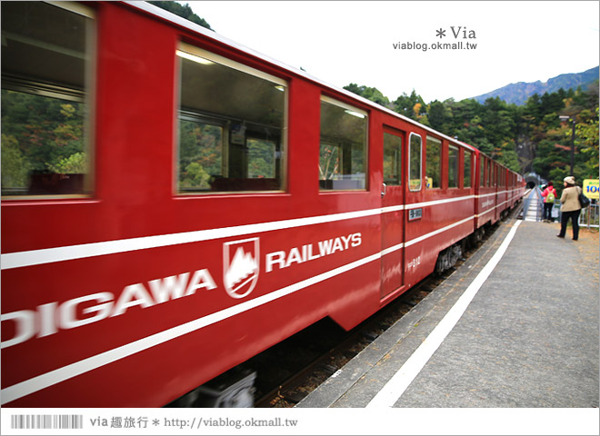 靜岡旅遊》大井川鐵道(下)～日本唯一齒軌登山軌道＋山中湖上秘境車站「奧大井湖上站」