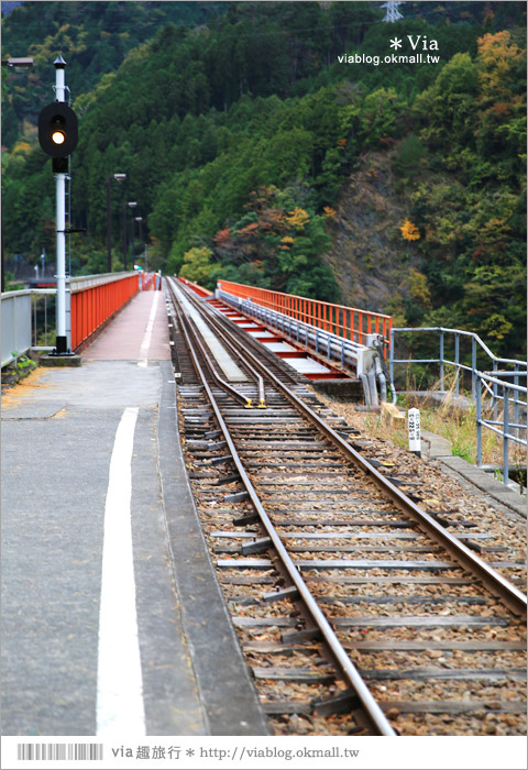 靜岡旅遊》大井川鐵道(下)～日本唯一齒軌登山軌道＋山中湖上秘境車站「奧大井湖上站」