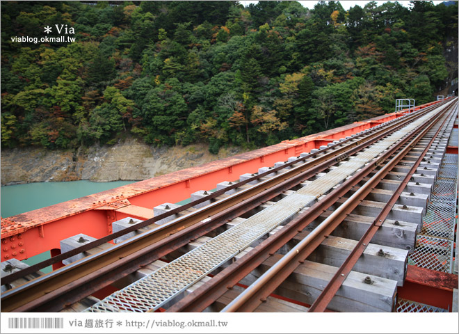 靜岡旅遊》大井川鐵道(下)～日本唯一齒軌登山軌道＋山中湖上秘境車站「奧大井湖上站」