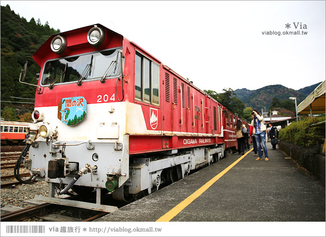 靜岡旅遊》大井川鐵道(下)～日本唯一齒軌登山軌道＋山中湖上秘境車站「奧大井湖上站」