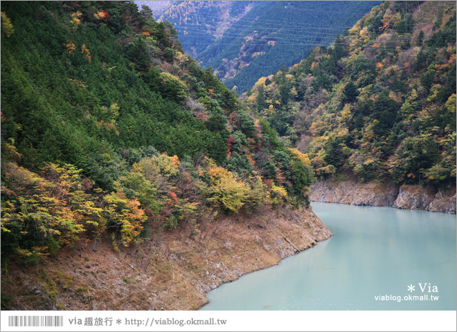 靜岡旅遊》大井川鐵道(下)～日本唯一齒軌登山軌道＋山中湖上秘境車站「奧大井湖上站」