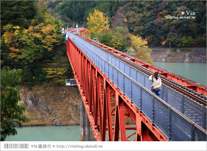 靜岡旅遊》大井川鐵道(下)～日本唯一齒軌登山軌道＋山中湖上秘境車站「奧大井湖上站」