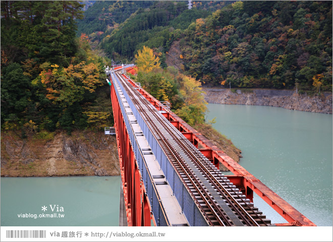 靜岡旅遊》大井川鐵道(下)～日本唯一齒軌登山軌道＋山中湖上秘境車站「奧大井湖上站」