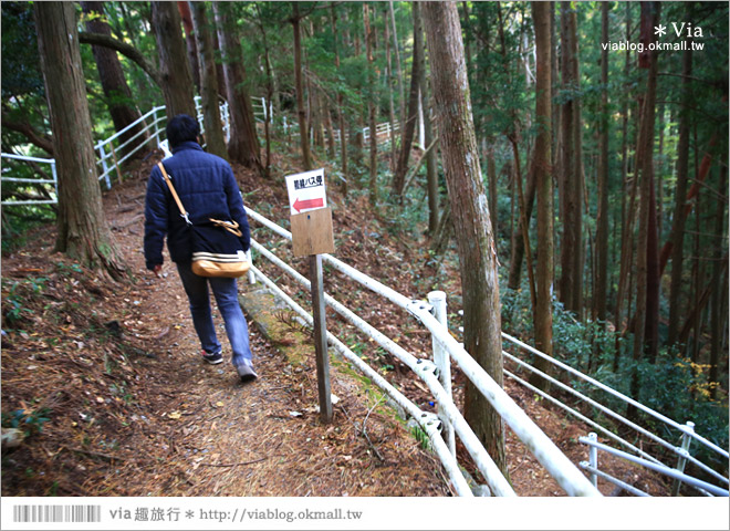 靜岡旅遊》大井川鐵道(下)～日本唯一齒軌登山軌道＋山中湖上秘境車站「奧大井湖上站」