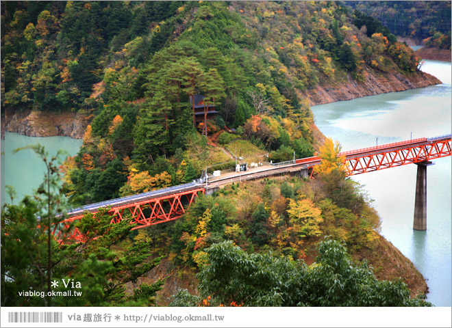 靜岡旅遊》大井川鐵道(下)～日本唯一齒軌登山軌道＋山中湖上秘境車站「奧大井湖上站」