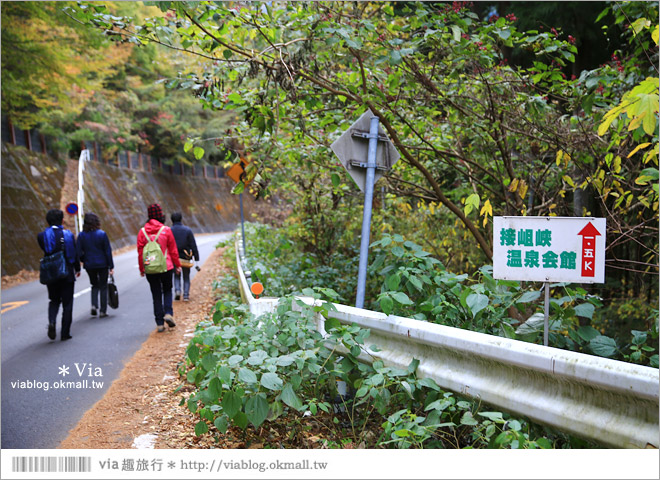 靜岡旅遊》大井川鐵道(下)～日本唯一齒軌登山軌道＋山中湖上秘境車站「奧大井湖上站」