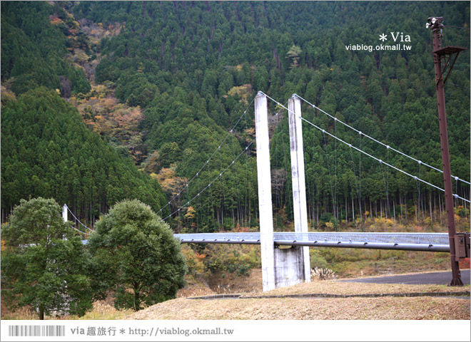 靜岡旅遊》大井川鐵道(下)～日本唯一齒軌登山軌道＋山中湖上秘境車站「奧大井湖上站」