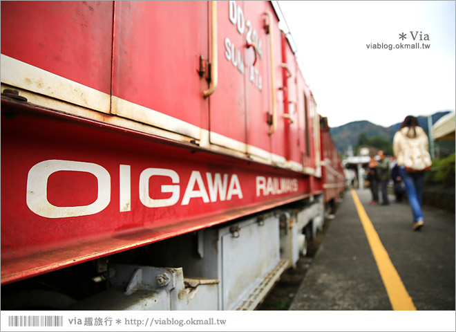 靜岡旅遊》大井川鐵道(下)～日本唯一齒軌登山軌道＋山中湖上秘境車站「奧大井湖上站」