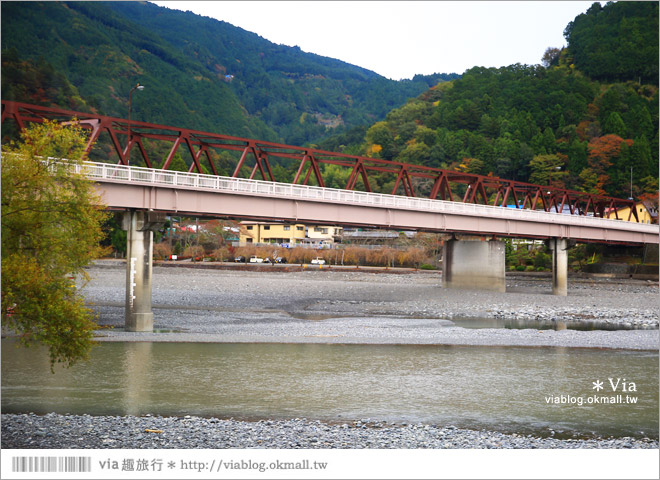 靜岡旅遊》大井川鐵道(下)～日本唯一齒軌登山軌道＋山中湖上秘境車站「奧大井湖上站」