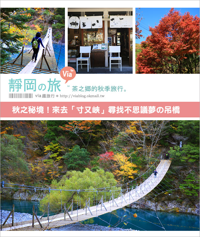 靜岡旅遊景點》秋季秘境之旅～寸又峽溫泉『夢之吊橋』，碧藍湖水上的夢幻美景