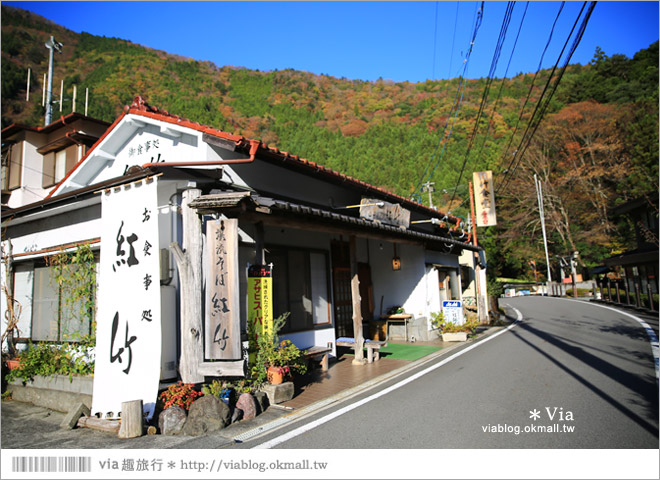 靜岡旅遊景點》秋季秘境之旅～寸又峽溫泉『夢之吊橋』，碧藍湖水上的夢幻美景