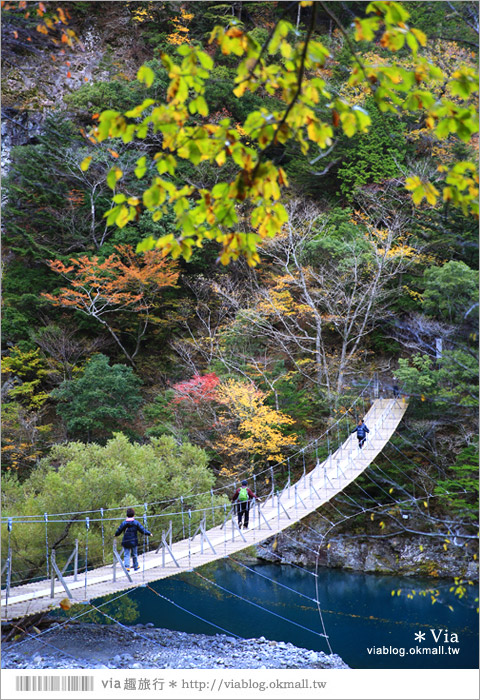 靜岡旅遊景點》秋季秘境之旅～寸又峽溫泉『夢之吊橋』，碧藍湖水上的夢幻美景