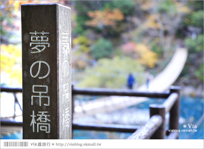 靜岡旅遊景點》秋季秘境之旅～寸又峽溫泉『夢之吊橋』，碧藍湖水上的夢幻美景