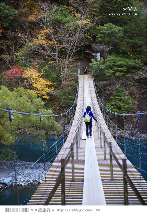 靜岡旅遊景點》秋季秘境之旅～寸又峽溫泉『夢之吊橋』，碧藍湖水上的夢幻美景