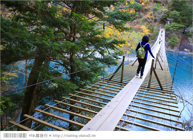 靜岡旅遊景點》秋季秘境之旅～寸又峽溫泉『夢之吊橋』，碧藍湖水上的夢幻美景