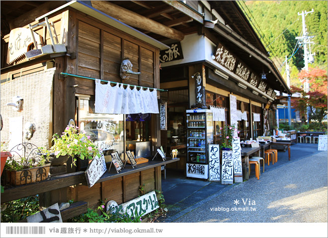 靜岡旅遊景點》秋季秘境之旅～寸又峽溫泉『夢之吊橋』，碧藍湖水上的夢幻美景