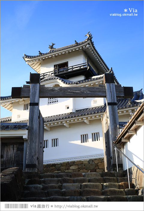 掛川旅遊景點》掛川城天守閣＋御殿～秀麗典雅的東海名城散步去