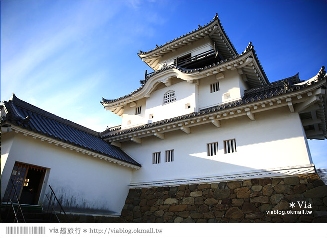 掛川旅遊景點》掛川城天守閣＋御殿～秀麗典雅的東海名城散步去