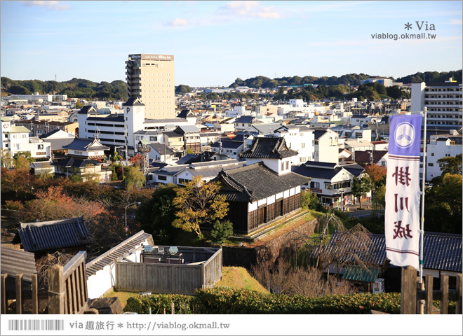 掛川旅遊景點》掛川城天守閣＋御殿～秀麗典雅的東海名城散步去