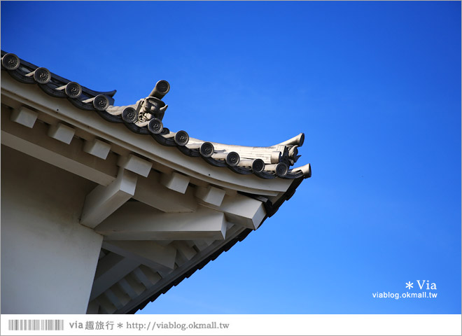 掛川旅遊景點》掛川城天守閣＋御殿～秀麗典雅的東海名城散步去