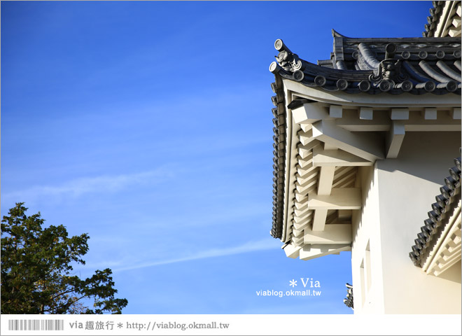 掛川旅遊景點》掛川城天守閣＋御殿～秀麗典雅的東海名城散步去