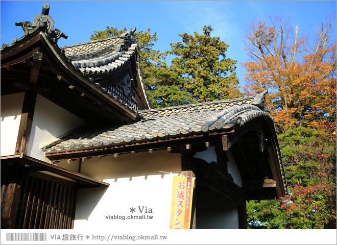 掛川旅遊景點》掛川城天守閣＋御殿～秀麗典雅的東海名城散步去