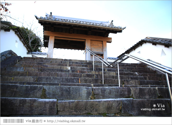 掛川旅遊景點》掛川城天守閣＋御殿～秀麗典雅的東海名城散步去