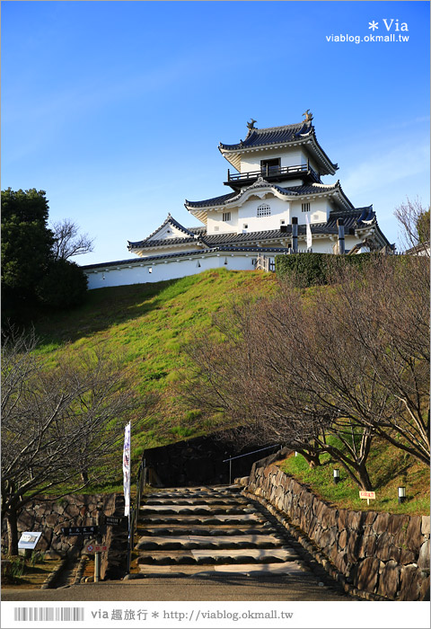 掛川旅遊景點》掛川城天守閣＋御殿～秀麗典雅的東海名城散步去