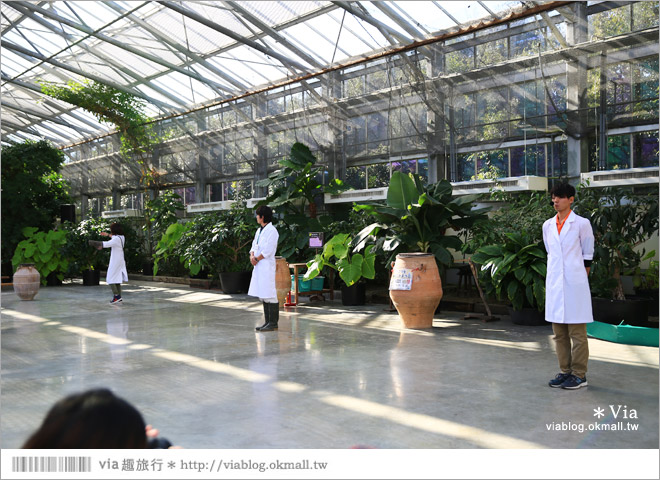 靜岡景點推薦》掛川花鳥園～愛鳥人&親子旅行大推薦！超有趣的花鳥園～玩到不想走！