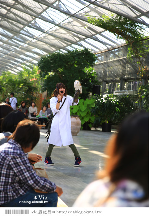 靜岡景點推薦》掛川花鳥園～愛鳥人&親子旅行大推薦！超有趣的花鳥園～玩到不想走！