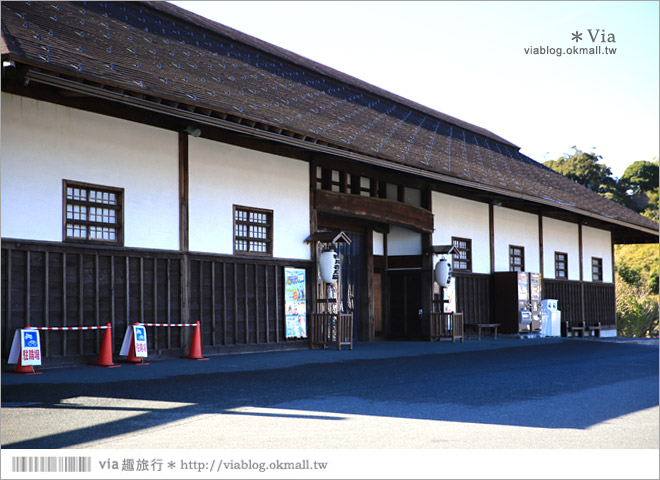 靜岡景點推薦》掛川花鳥園～愛鳥人&親子旅行大推薦！超有趣的花鳥園～玩到不想走！